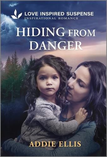 Cover image for Hiding from Danger