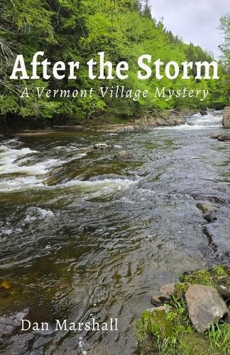 Cover image for After the Storm