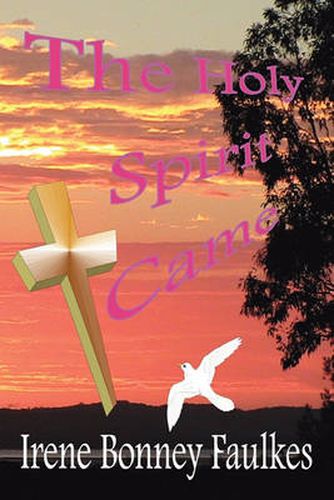 Cover image for The Holy Spirit Came