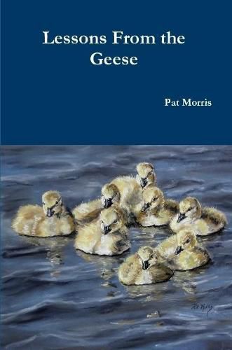 Lessons From the Geese