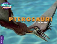 Cover image for Cambridge Reading Adventures Pterosaur! Purple Band