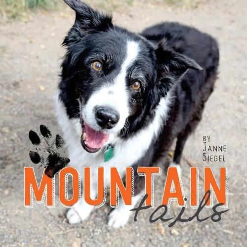 Cover image for Mountain Tails