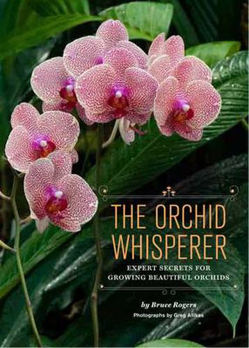 The Orchid Whisperer