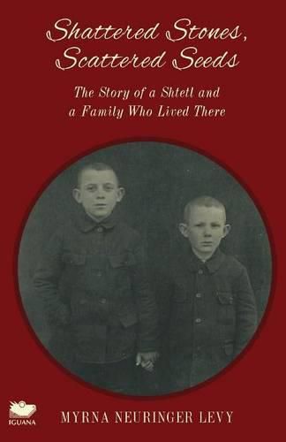 Cover image for Scattered Stones, Shattered Seeds: The Story of a Shtetl and a Family Who Lived There
