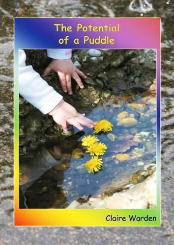 Cover image for The Potential of a Puddle
