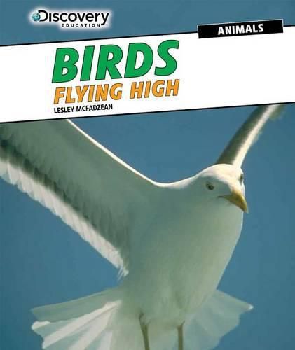 Cover image for Birds: Flying High