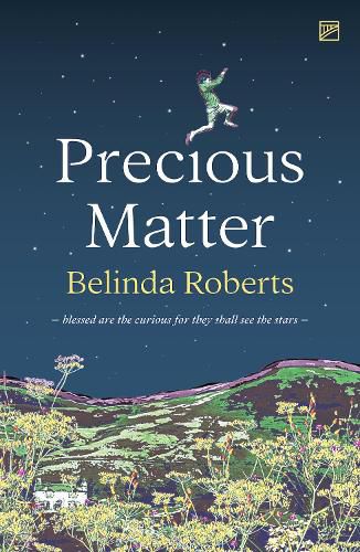 Cover image for Precious Matter