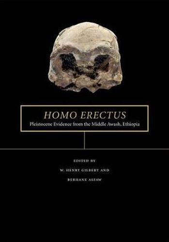 Homo erectus: Pleistocene Evidence from the Middle Awash, Ethiopia