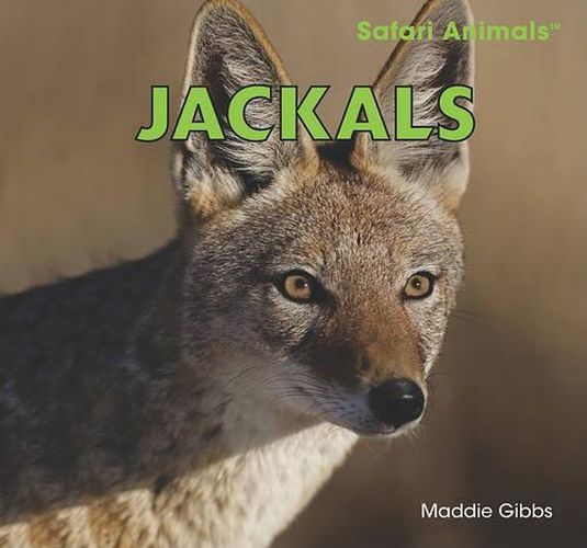 Cover image for Jackals