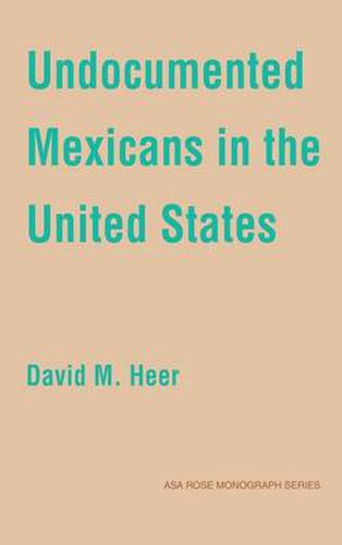 Cover image for Undocumented Mexicans in the USA