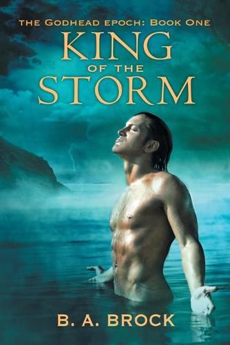 Cover image for King of the Storm