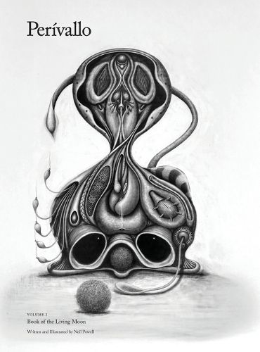 Cover image for Perivallo