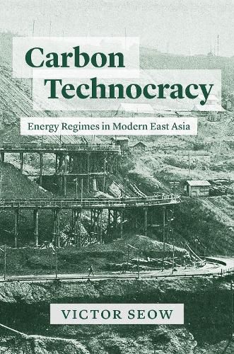 Cover image for Carbon Technocracy