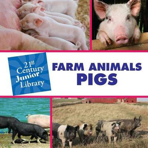 Farm Animals: Pigs