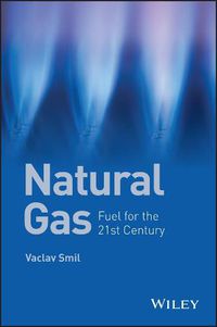 Cover image for Natural Gas - Fuel for the 21st Century