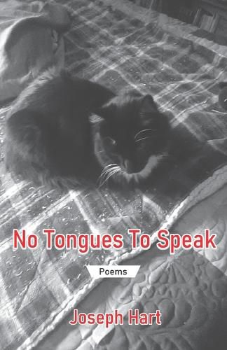 Cover image for No Tongues To Speak