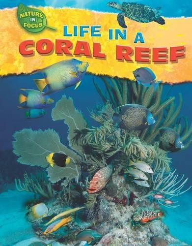Cover image for Life in a Coral Reef