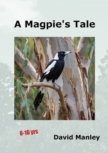 Cover image for A Magpie's Tale