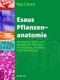 Cover image for Esaus Pflanzenanatomie