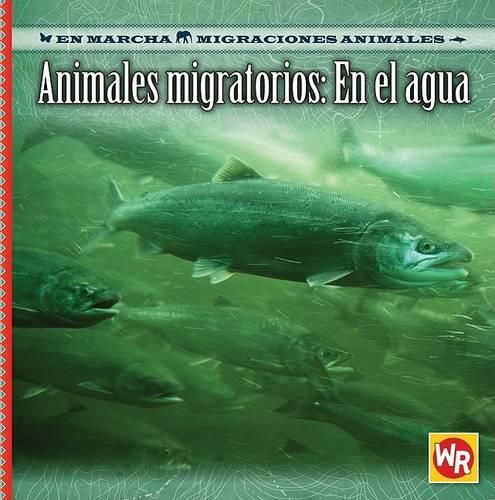 Cover image for Animales Migratorios: En El Agua (Migrating Animals of the Water)