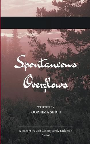 Cover image for Spontaneous Overflows (Edition1st)