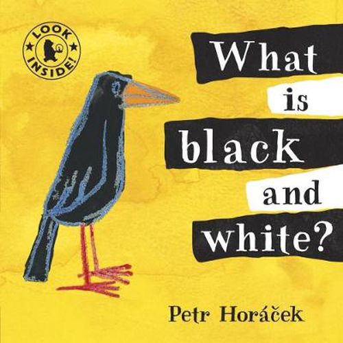 Cover image for What Is Black and White?