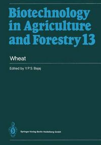 Cover image for Wheat