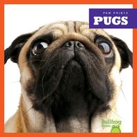 Cover image for Pugs