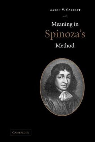 Cover image for Meaning in Spinoza's Method