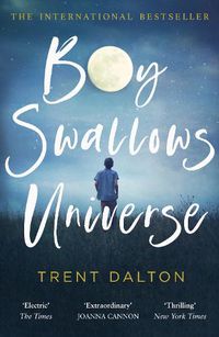 Cover image for Boy Swallows Universe