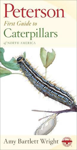 Cover image for First Guide to Caterpillars