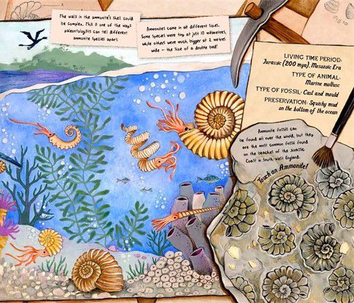 The Fossil Keeper's Treasure