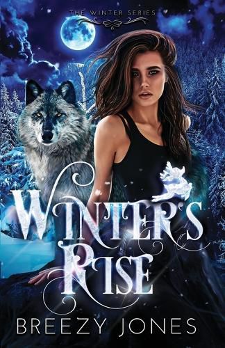 Cover image for Winters Rise