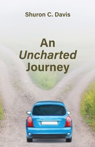 Cover image for An Uncharted Journey