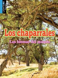 Cover image for Los Chaparrales