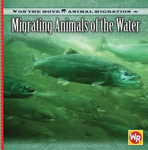 Cover image for Migrating Animals of the Water