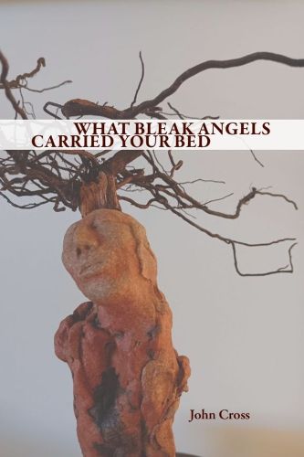 Cover image for WHAT BLEAK ANGELS CARRIED YOUR BED
