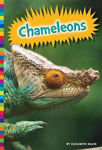 Chameleons