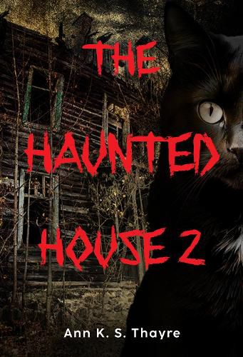 Cover image for The Haunted House 2
