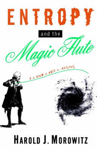 Cover image for Entropy and the Magic Flute