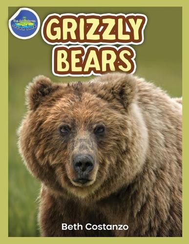 Cover image for Grizzly Bear Activity Workbook ages 4-8