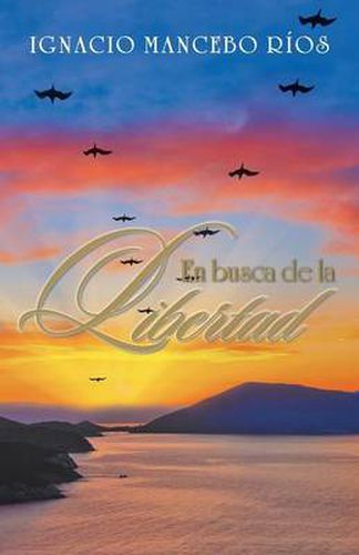 Cover image for En Busca de La Libertad