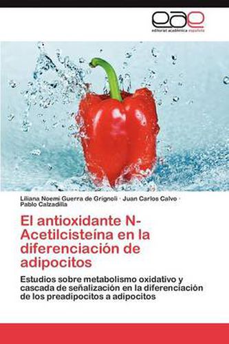 Cover image for El antioxidante N-Acetilcisteina en la diferenciacion de adipocitos