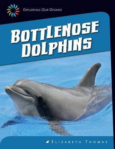 Cover image for Bottlenose Dolphins