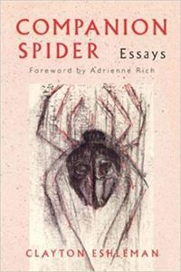 Cover image for Companion Spider