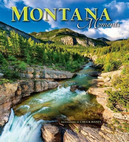 Cover image for Montana Moments