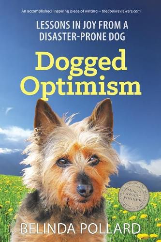 Cover image for Dogged Optimism: Lessons in Joy from a Disaster-Prone Dog