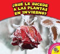 Cover image for Que Le Sucede a Las Plantas En Invierno?