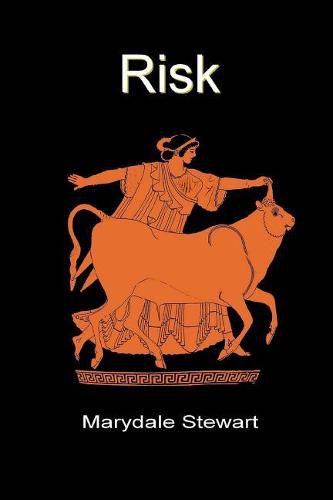 Cover image for Risk