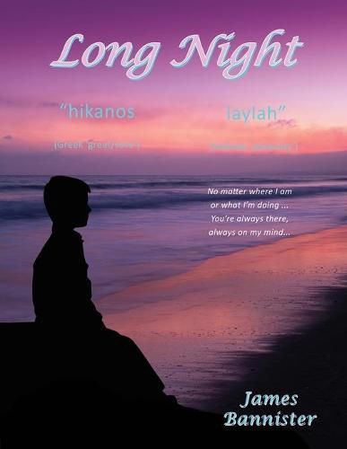 Cover image for Long Night: The Flow